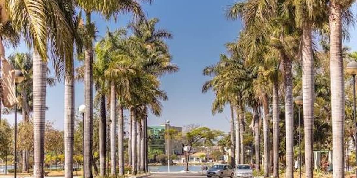 Avenida arborizada de Trajano de Moraes, na Região Serrana